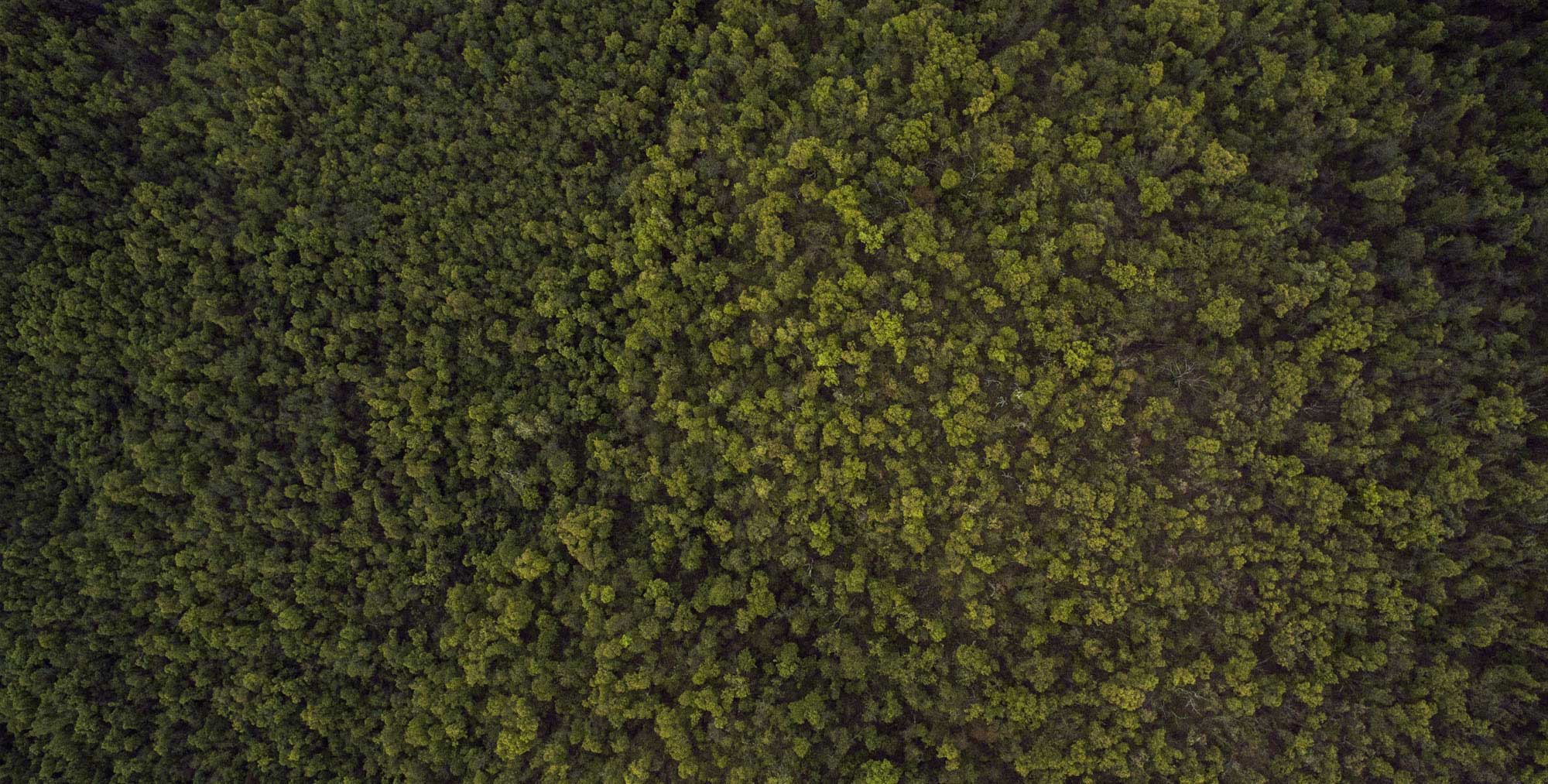 تصویر پست